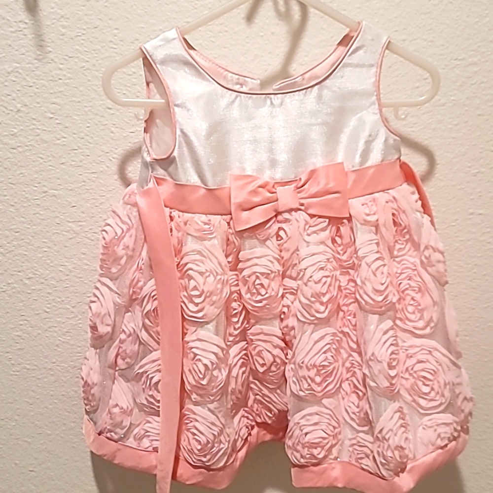 12 month girls formal dress with roses